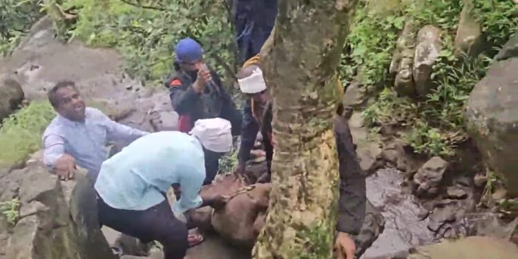 तोरणामाळ येथे पाय घासरून सीताखाईत २१ वर्षीय तरुणाचा मृत्यू