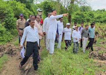 नुकसानग्रस्त पिकांची आ. राजेश पाडवी यांनी बांधावर जाऊन केली पाहणी