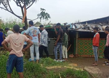 रोजवा प्लॉट येथे बालिकेवर बिबट्याचा हल्ला, उपचारादरम्यान बालिकेचा मृत्यू