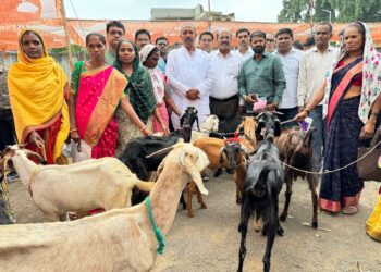 विसरवाडी येथे 18 महिला बचत गटांना मंत्री डॉ. विजयकुमार गावित यांच्या हस्ते शेळी गटांचे वितरण