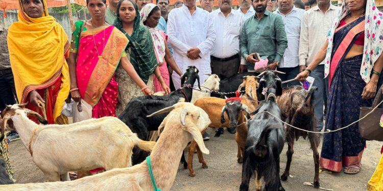 विसरवाडी येथे 18 महिला बचत गटांना मंत्री डॉ. विजयकुमार गावित यांच्या हस्ते शेळी गटांचे वितरण