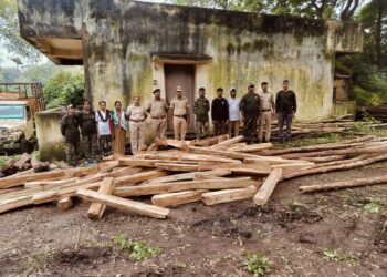 सावऱ्या जंगलातून ३६ हजाराचे साग जप्त बिलगाव वनविभागाची कारवाई