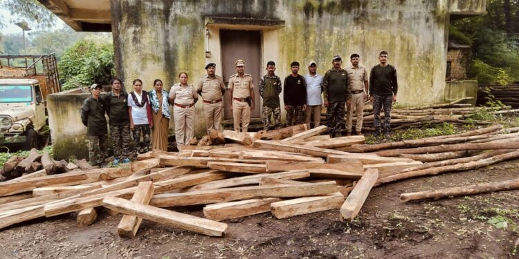 सावऱ्या जंगलातून ३६ हजाराचे साग जप्त बिलगाव वनविभागाची कारवाई