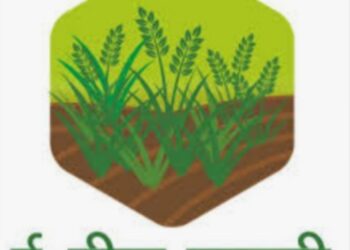 15 सप्टेंबर पर्यंत ई-पीक पाहणी नोंदवावी :धनंजय गोगटे