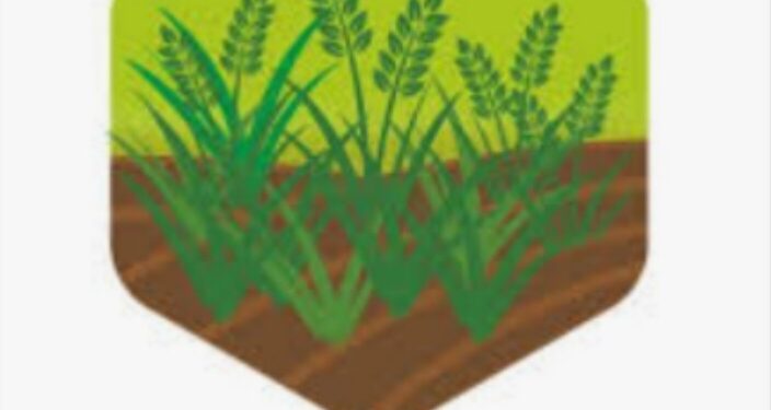 15 सप्टेंबर पर्यंत ई-पीक पाहणी नोंदवावी :धनंजय गोगटे