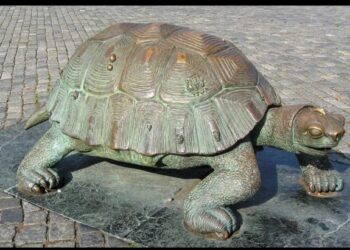 शहाद्यात कासव विक्री करणारे दोघे दोन कासवांसह वनविभागाच्या ताब्यात; 18 सप्टेंबरपर्यंत वनकोठडी