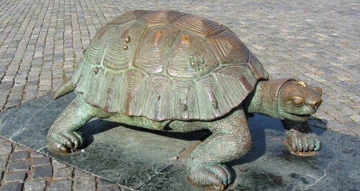 शहाद्यात कासव विक्री करणारे दोघे दोन कासवांसह वनविभागाच्या ताब्यात; 18 सप्टेंबरपर्यंत वनकोठडी