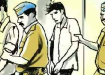 मित्राच्या वाढदिवसाच्या कार्यक्रमात  पिस्तूल दाखविने पडले महागात;  व्हायरल व्हिडीओवरून पाच जणांविरुद्ध गुन्हा दाखल