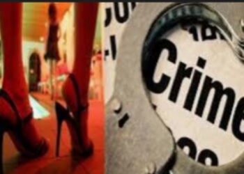 नंदुरबार – वाका चार रस्त्यादरम्यान वैश्याव्यवसाय चालविणाऱ्या हॉटेलवर पोलीसांची रेड, हॉटेल मालकासह चौघांना अटक