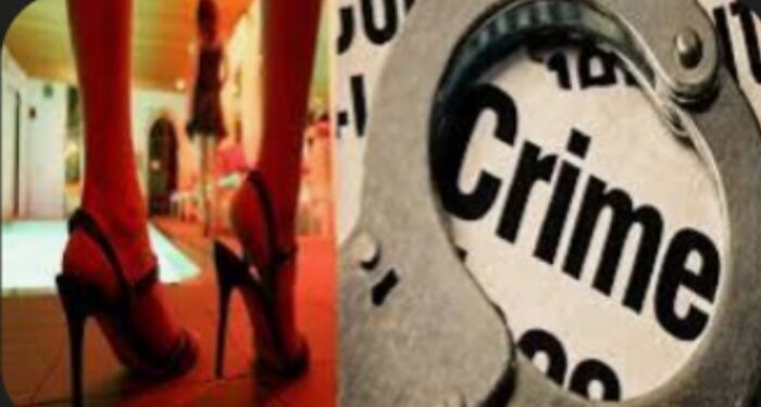 नंदुरबार – वाका चार रस्त्यादरम्यान वैश्याव्यवसाय चालविणाऱ्या हॉटेलवर पोलीसांची रेड, हॉटेल मालकासह चौघांना अटक