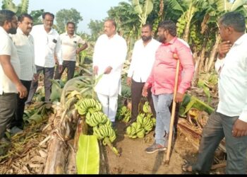 वादळी पावसाने उद्ध्वस्त शेतीची ना. डॉ. विजयकुमार गावित यांनी केली तातडीने पाहणी