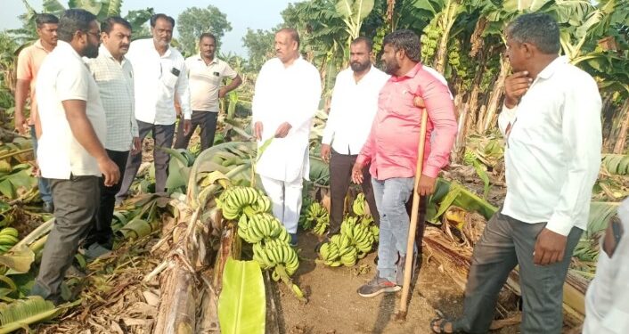 वादळी पावसाने उद्ध्वस्त शेतीची ना. डॉ. विजयकुमार गावित यांनी केली तातडीने पाहणी