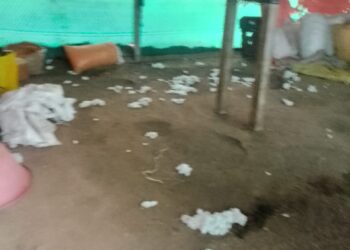 रनाळे येथून शेतकऱ्यांनी वेचणी करून ठेवलेला 14 क्विंटल कापूस चोरांनी केला लंपास