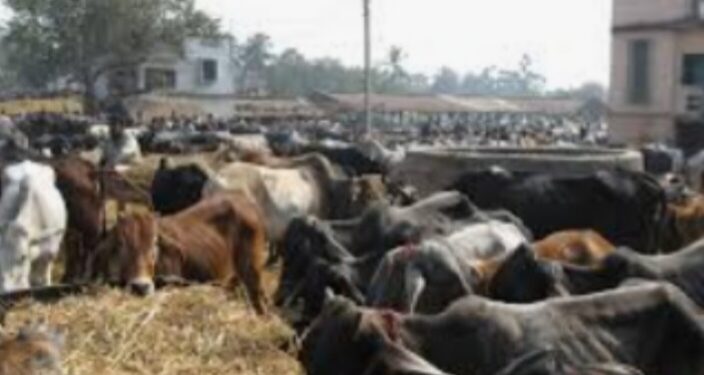 पशुपालकांनी पशुगणनेसाठी योग्य माहिती द्यावी : डॉ. उमेश पाटील