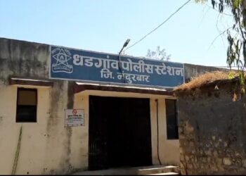 धडगाव तालुक्यात 13 लाखांचा गांजा जप्त