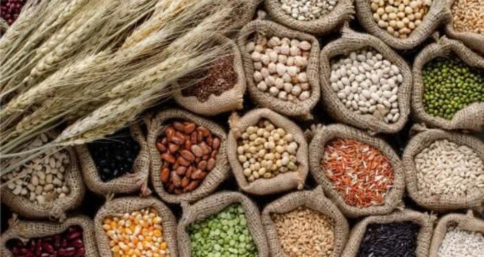 हमीभावाने भरडधान्य खरेदीस 31 डिसेंबर पर्यंत मुदतवाढ