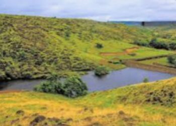 पाणलोट विकास कार्यक्रमाअंतर्गत विशेष ग्रामसभा उत्साहात