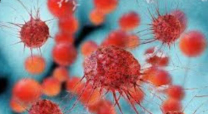 जीबीएसचा संशयित रुग्ण आढळल्याने आजाराशी संबंधित कोणतीही लक्षणे दिसल्यास त्वरित संपर्क साधा : जिल्हाधिकारी डॉ. मित्ताली सेठी