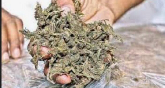 नंदुरबार शहरातून साडेतीन लाखाचा गांजा जप्त