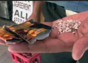 बसमधून अवैध गुटख्याची तस्करी, साडेचौदा लाखाचा मुद्देमाल जप्त