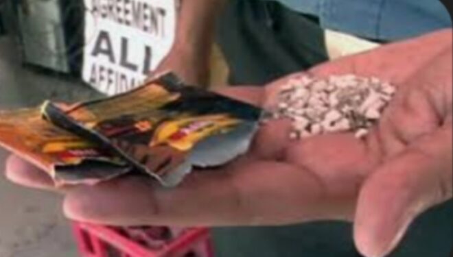 बसमधून अवैध गुटख्याची तस्करी, साडेचौदा लाखाचा मुद्देमाल जप्त