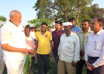 राज्यातील २४ जिल्हे व १०३ तालुके अवकाळी पावसाने बाधित;शेतकऱ्यांना  हमखास मदत मिळवून देण्यासाठी प्रयत्नशील: कृषिमंत्री ॲड. माणिकराव कोकाटे