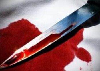 खुनाचे गुन्हयातील आरोपी 24 तासाचे आत म्हसावद पोलीसांनी घेतले ताब्यात