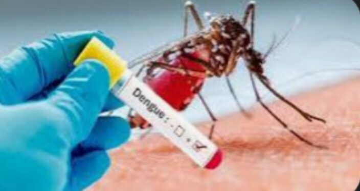 डेंग्यू आजाराला प्रतिबंध करण्यासाठी नागरीकांनी सहकार्य करावे