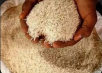 अवैधरित्या रेशनचा तांदूळ परराज्यात काळया बाजारात विक्रीला जात असताना पोलिसांचा छापा, तीन ट्रकांसह 54 लाखांचा मुद्देमाल हस्तगत