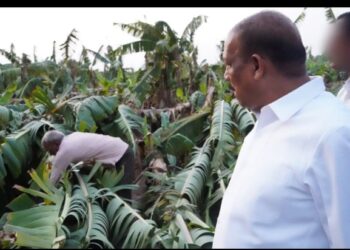 अवकाळी’मुळे झालेल्या नुकसानीचे ताबडतोब पंचनामे करून भरपाईची प्रक्रिया करा; डॉ. विजयकुमार गावित यांचे अधिकाऱ्यांना निर्देश