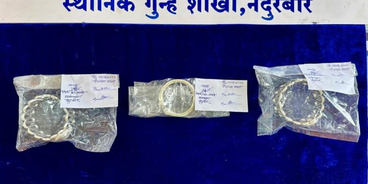 मोलगी येथील महिलेच्या अंगावरील दागिने चोरणाऱ्या दोघांना अटक