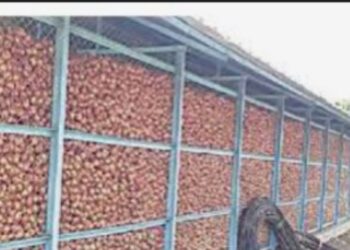 कांदाचाळ आणि लसूण साठवणूक गृह भारणीसाठी शेतकऱ्यांनी अर्ज करावे : सी. के. ठाकरे