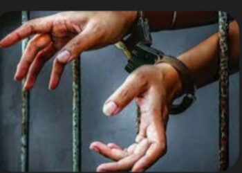 नंदुरबार तालुक्यातील दरोड्यातील चौघांना अटक