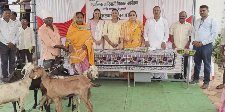 डॉ. हिना गावित यांच्या प्रयत्नातून वाडी प्रकल्प अंतर्गत 17 बचत गटांना शेळी वाटपाचा लाभ