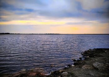 सतर्कतेचा इशारा : शिवण (विरचक) मध्यम प्रकल्पात पाणी पातळी वाढल्यामुळे संभाव्य विसर्ग