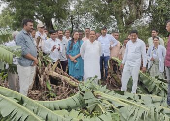 आ.डॉ. विजयकुमार गावित यांनी पाठपुरावा केल्याने नंदुरबार जिल्ह्यातील सर्व तालुक्यांचा अतिवृष्टीग्रस्त तालुक्यांमध्ये समावेश