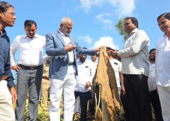 दिवाळीपूर्वी शेतकऱ्यांना मदत देण्याचा शासनाचा प्रयत्न : पालकमंत्री ॲड. माणिकराव कोकाटे