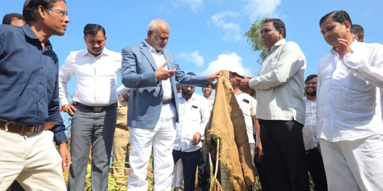 दिवाळीपूर्वी शेतकऱ्यांना मदत देण्याचा शासनाचा प्रयत्न : पालकमंत्री ॲड. माणिकराव कोकाटे