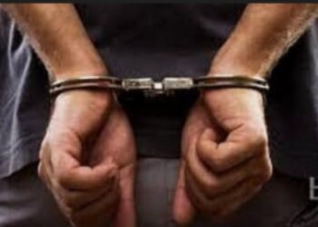 बनारस येथे शिकणाऱ्या धडगाव तालुक्यातील युवकाविरुद्ध प्रक्षोभक व्हिडिओ तयार केल्याप्रमाणे गुन्हा दाखल