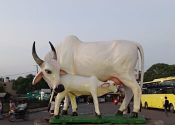 गाय वासरूच्या शिल्पाचे आ.चंद्रकांत रघुवंशी यांच्या हस्ते शुक्रवारी लोकार्पण