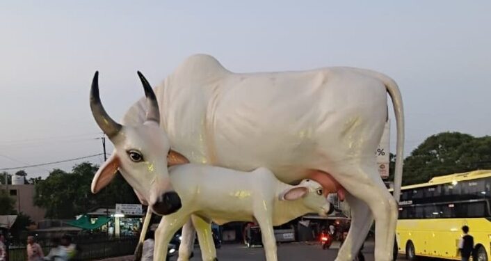 गाय वासरूच्या शिल्पाचे आ.चंद्रकांत रघुवंशी यांच्या हस्ते शुक्रवारी लोकार्पण