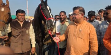 सारंगखेड्याचा चेतक महोत्सव ग्लोबल करण्यासाठी शासन पाठीशी:मंत्री जयकुमार रावळ