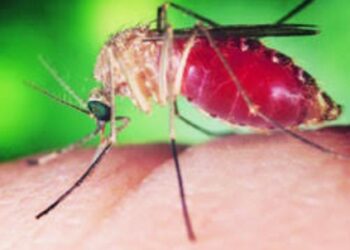 नवापूर तालुक्यात 10 फेब्रुवारीपासून ‘हत्तीरोग सार्वत्रिक औषधोपचार मोहीम’