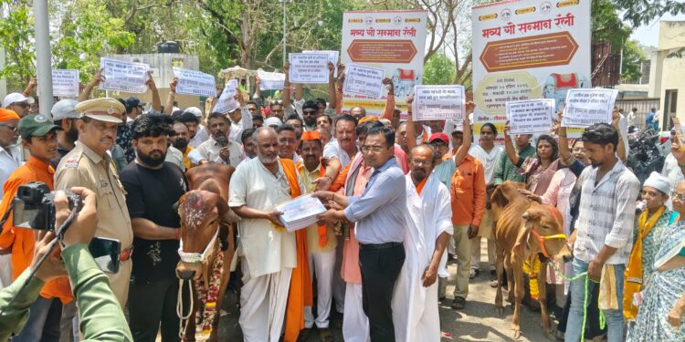 गौसन्मान रॅलीत गौमाता व नंदीबाबाने वेधले लक्ष