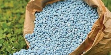 नंदुरबार जिल्ह्यात एक खत परवाना  रद्द, ६ निलंबित