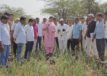 गारपीटग्रस्त शेतीची डॉ.हिना गावित यांनी केली पाहणी