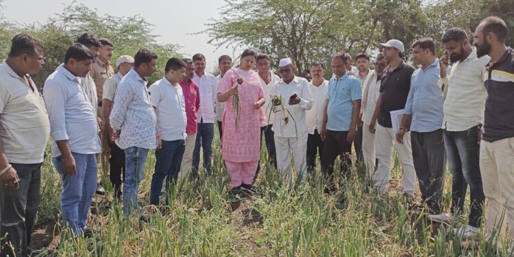 गारपीटग्रस्त शेतीची डॉ.हिना गावित यांनी केली पाहणी