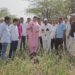 गारपीटग्रस्त शेतीची डॉ.हिना गावित यांनी केली पाहणी