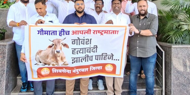 गोवंश हत्येला आमचाही विरोध; विरोधकांचा केवळ प्रसिद्धी स्टंट: शिवसेना नगरसेवकांचा आरोप