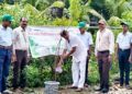 इको क्लब अंतर्गत सैनिकी विद्यालयात वृक्षारोपण